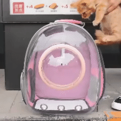 bolso-porta-mascotas